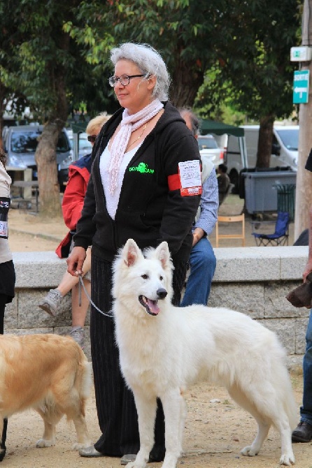 di u Vecchiu - CACIB Ajaccio