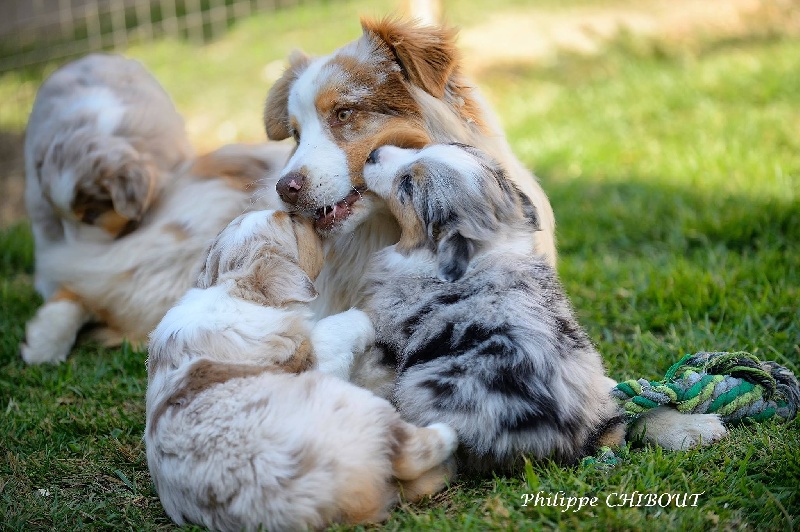 Istwick di u Vecchiu