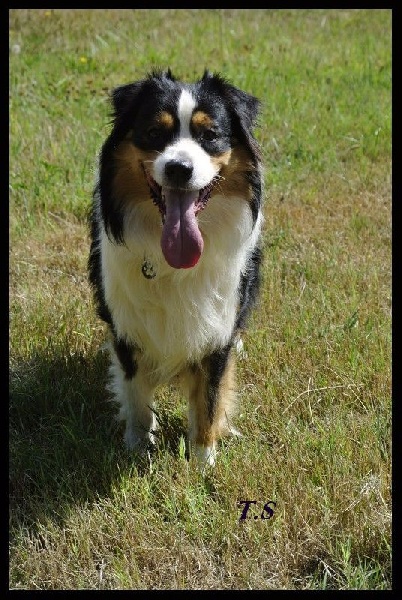 Hollow zéro di u Vecchiu