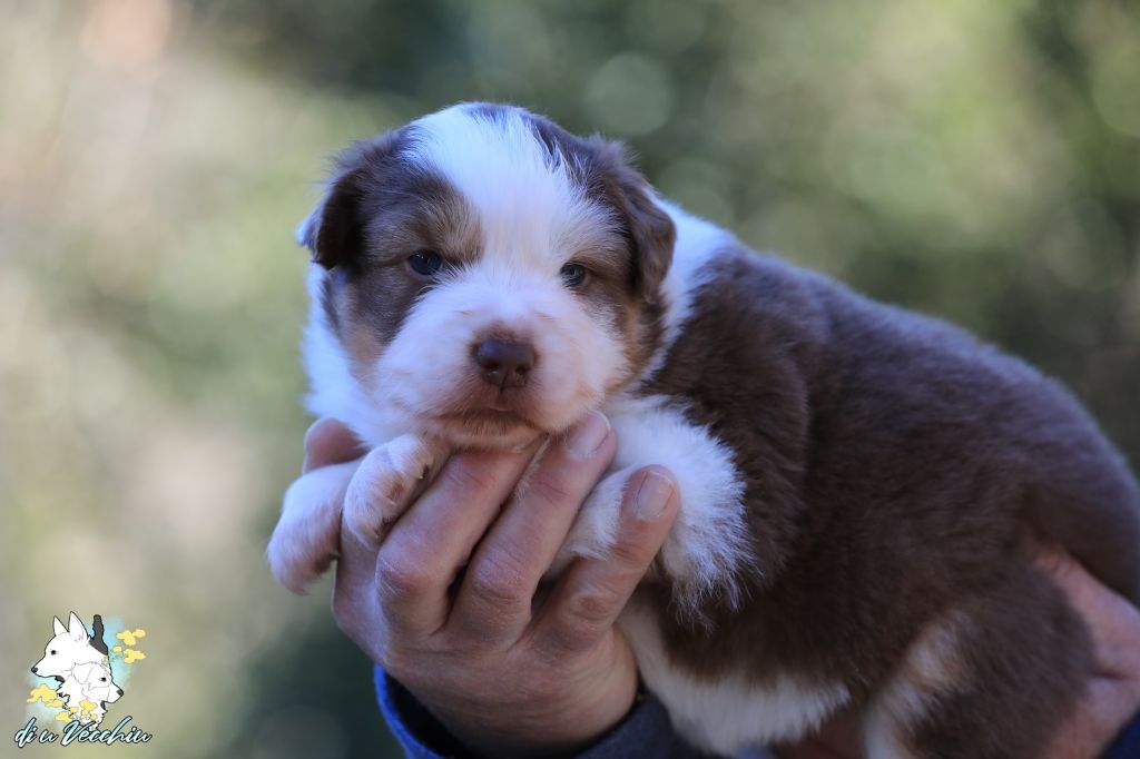 La petite dernière a trouvé sa famille !